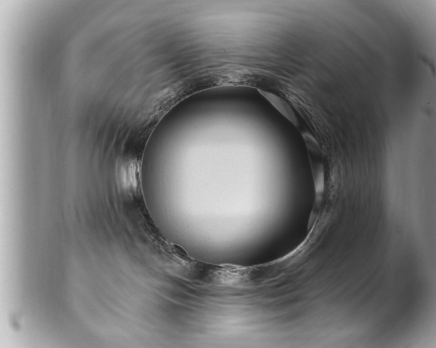 X0000100970094200807011430