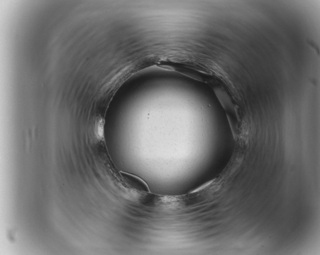 X0000100970095200807011430
