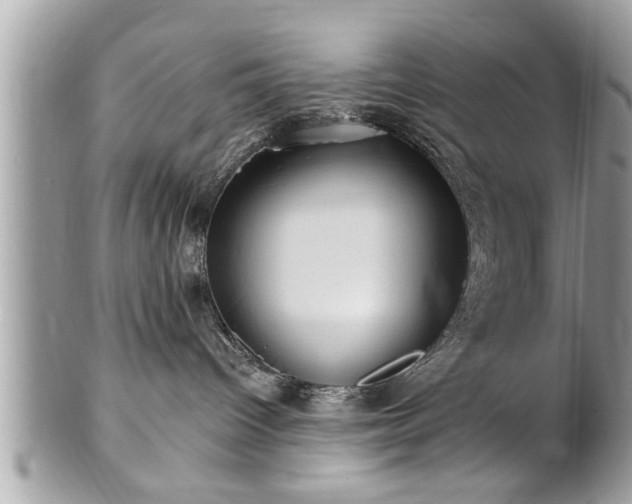 X0000100970096200807011430