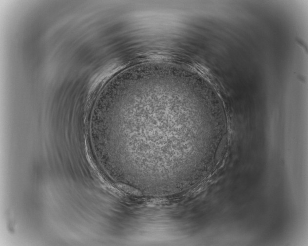X0000100970097200807011429