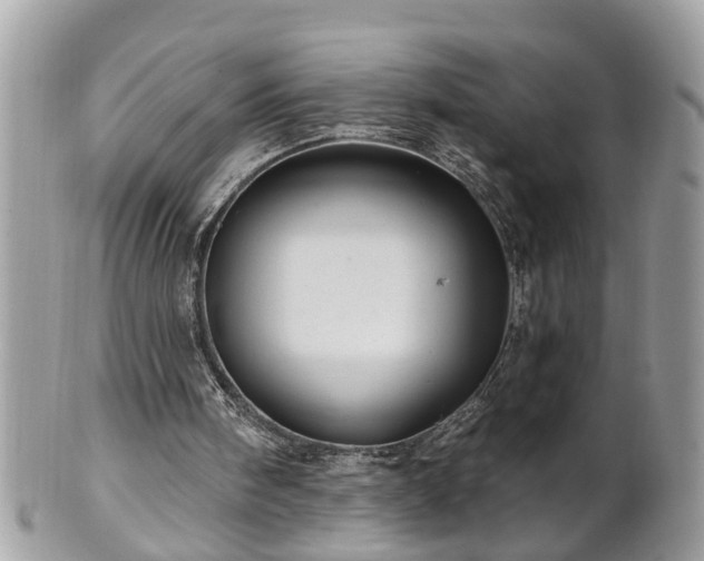 X0000100970098200807011429
