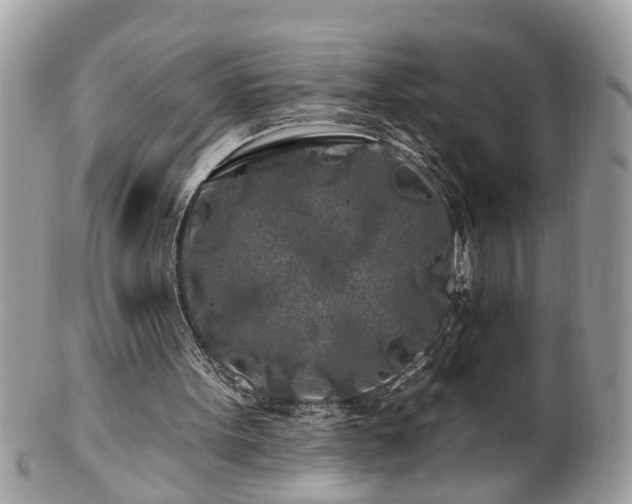 X0000100970099200807011429
