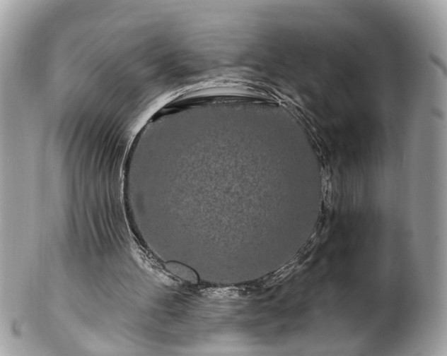 X0000100970100200807011429