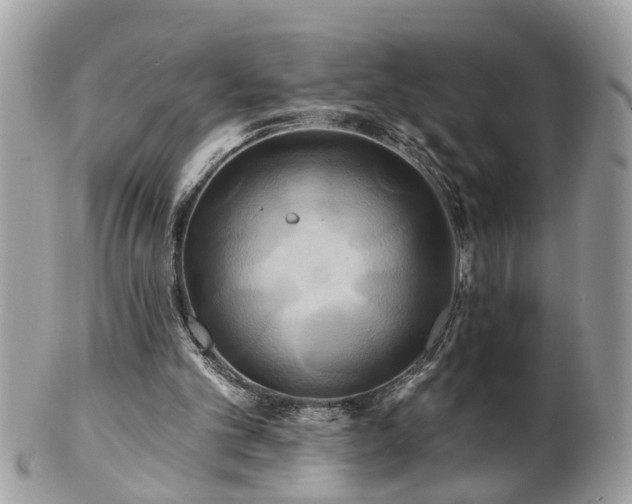 X0000100970101200807011429