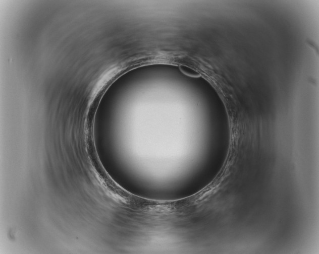 X0000100970102200807011429