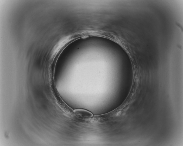 X0000100970103200807011429