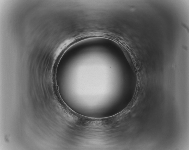 X0000100970104200807011429