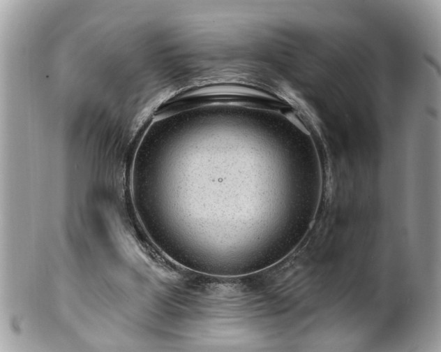 X0000100970107200807011429