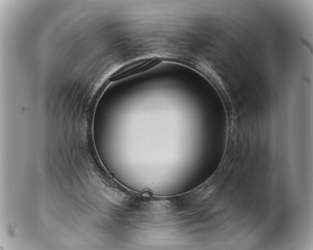 X0000100970108200807011429