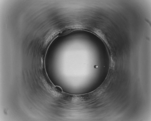 X0000100970109200807011429