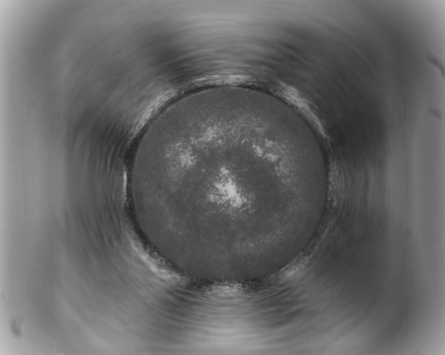 X0000100970110200807011429