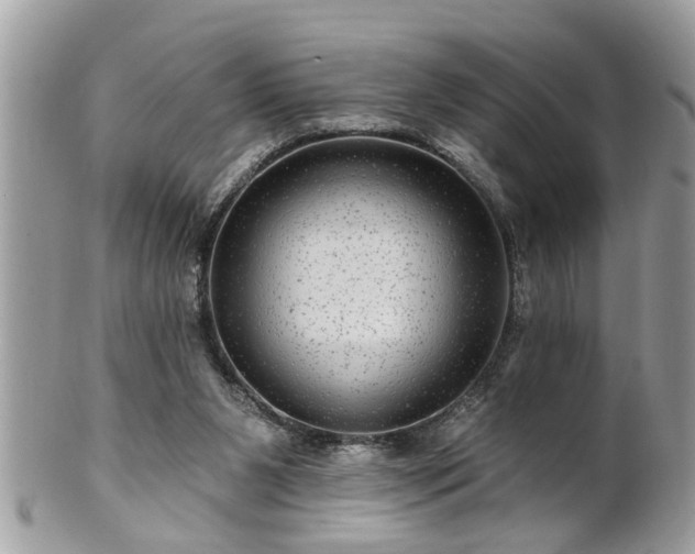 X0000100970111200807011429
