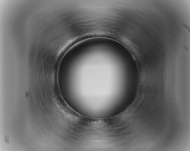 X0000100970112200807011429