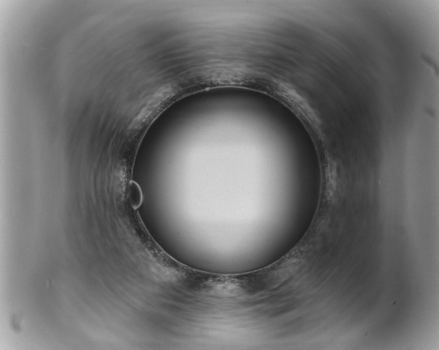X0000100970113200807011429