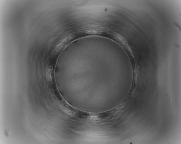X0000100970114200807011429
