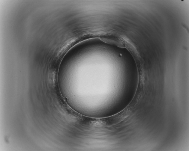 X0000100970115200807011429