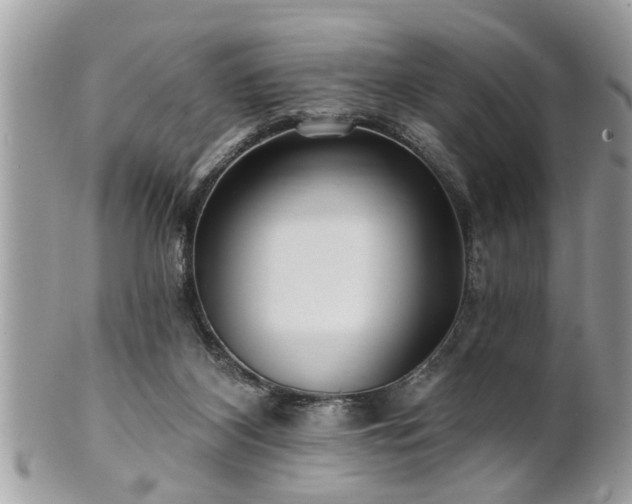 X0000100970116200807011429