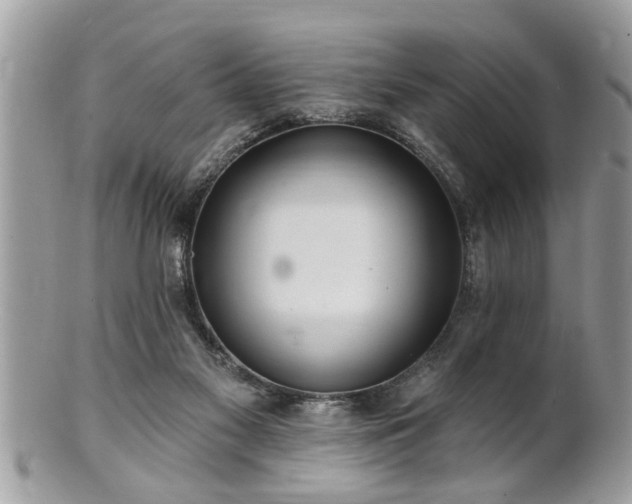 X0000100970117200807011429