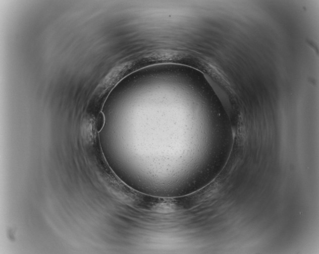 X0000100970119200807011429