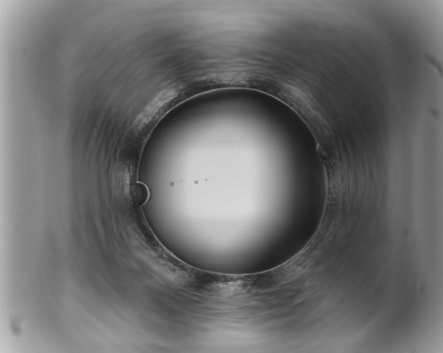 X0000100970120200807011429