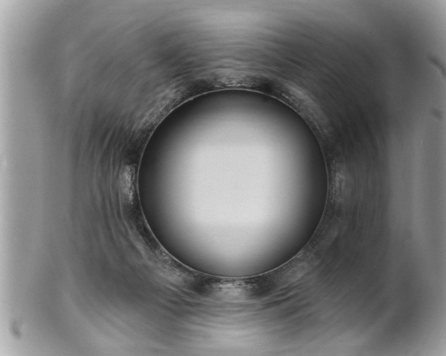 X0000100970121200807011429