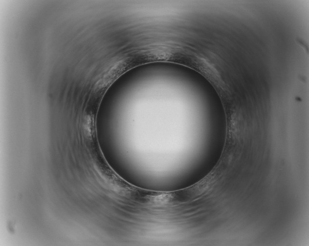 X0000100970122200807011429