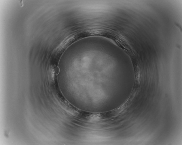 X0000100970124200807011429