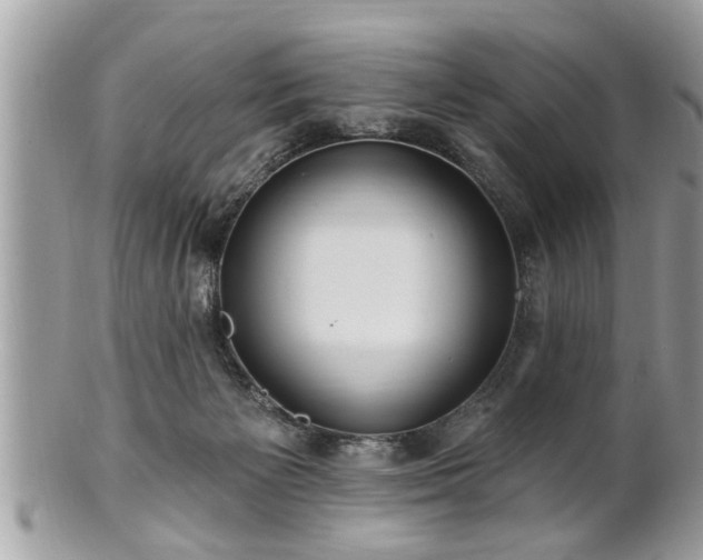 X0000100970125200807011429