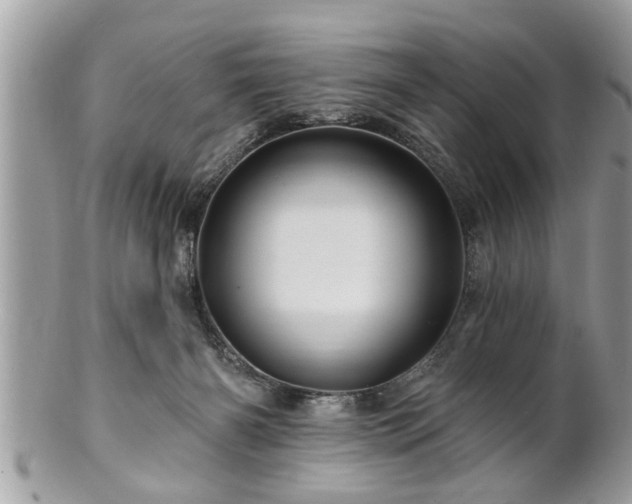 X0000100970126200807011429