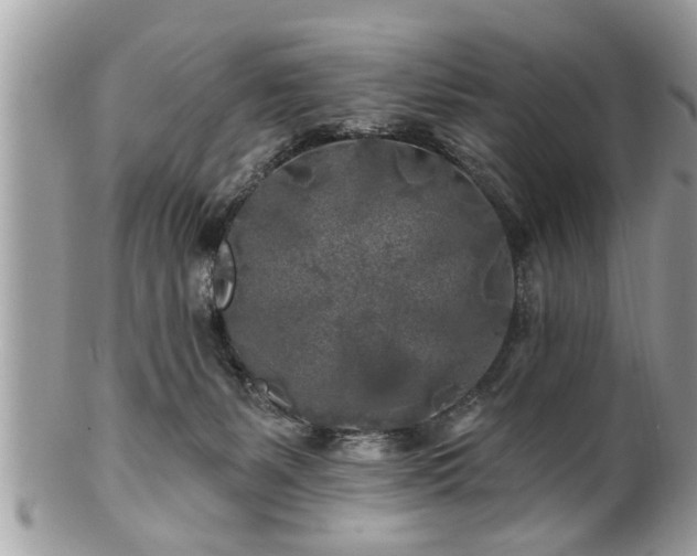 X0000100970127200807011429