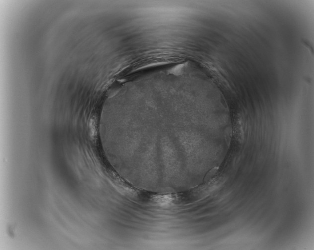 X0000100970131200807011429