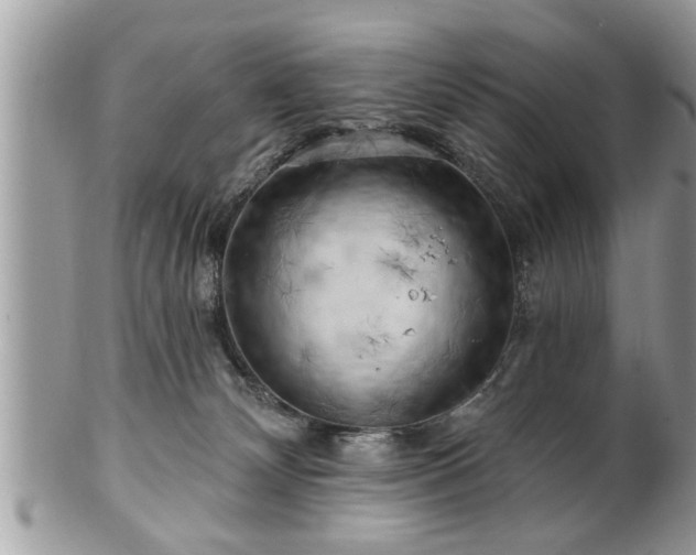 X0000100970132200807011429