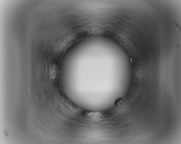 X0000100970133200807011429