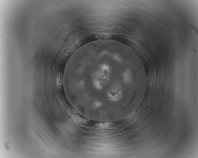 X0000100970134200807011429