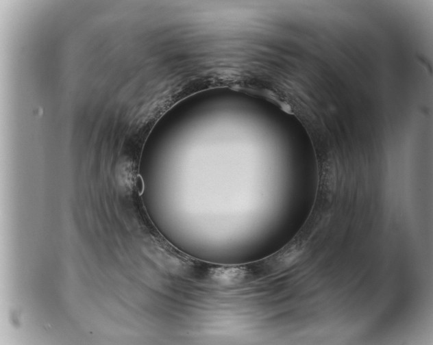 X0000100970135200807011429