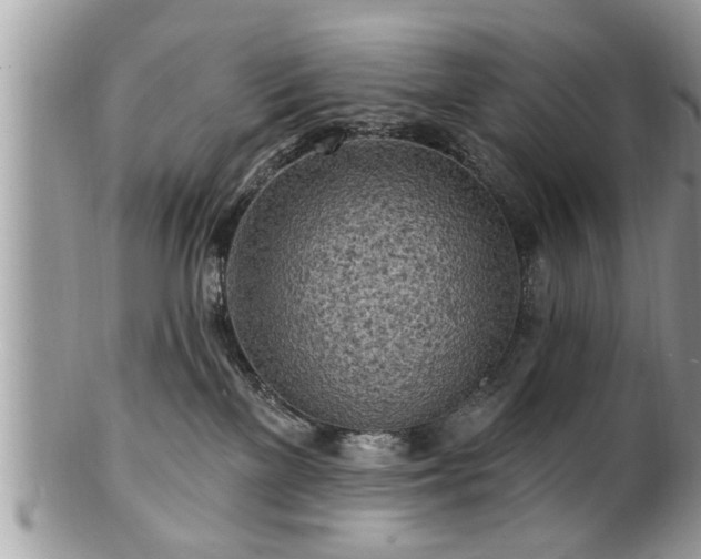 X0000100970137200807011429