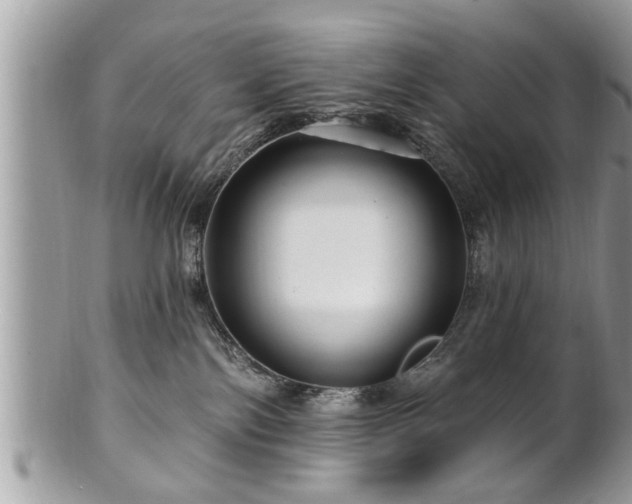 X0000100970138200807011429