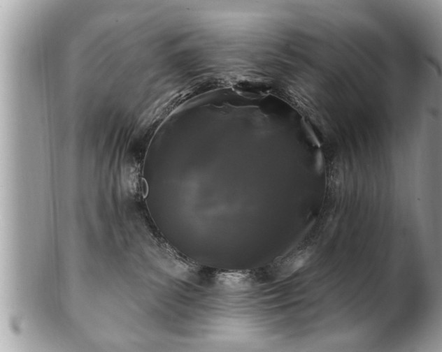 X0000100970139200807011429