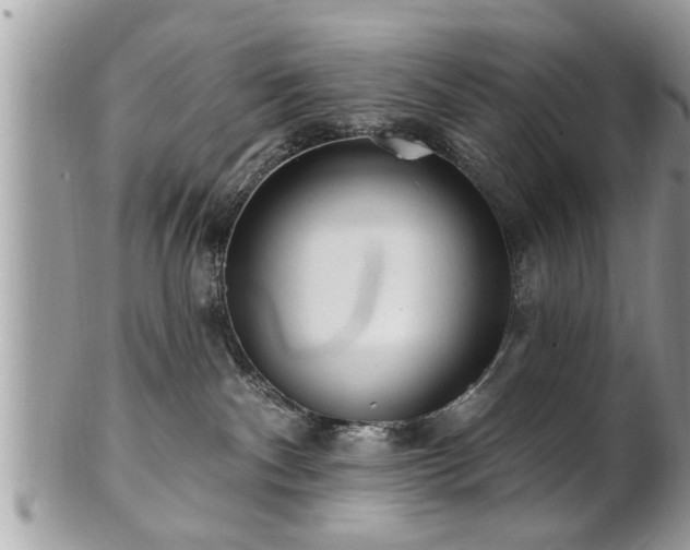 X0000100970140200807011429
