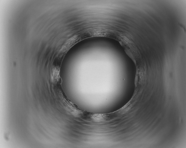 X0000100970142200807011429