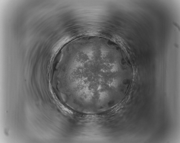 X0000100970145200807011428