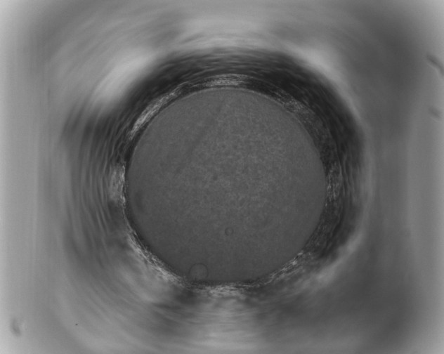 X0000100970146200807011428