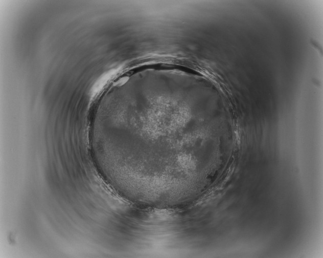 X0000100970149200807011428