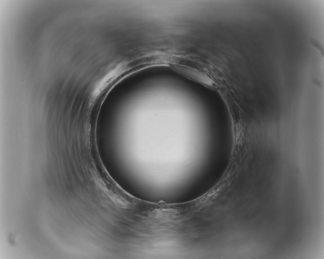 X0000100970150200807011428