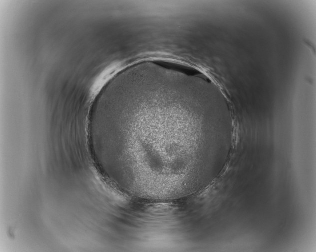 X0000100970151200807011428