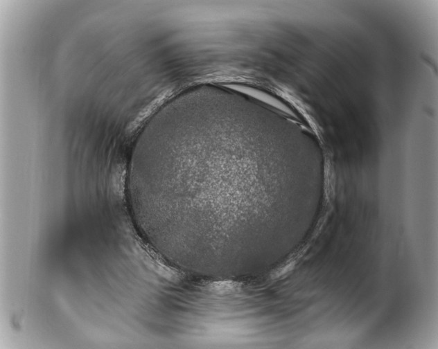 X0000100970153200807011428