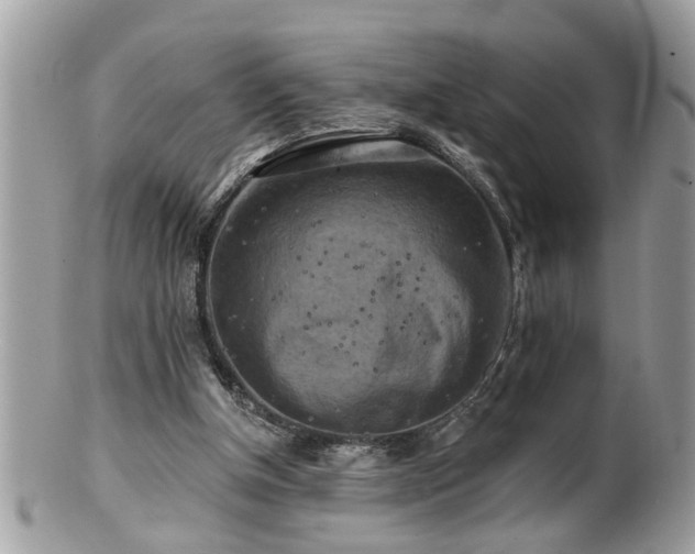 X0000100970154200807011428