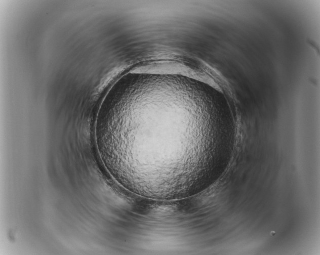 X0000100970155200807011428