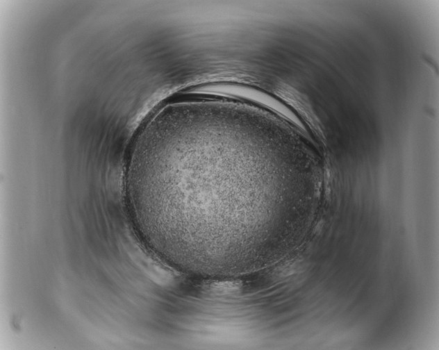 X0000100970156200807011428