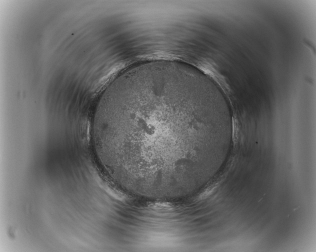 X0000100970157200807011428